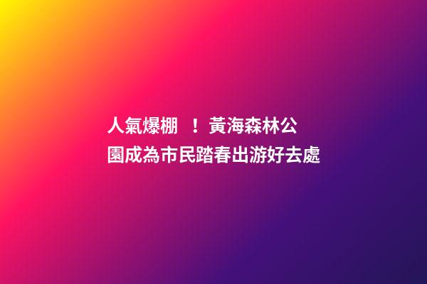 人氣爆棚！黃海森林公園成為市民踏春出游好去處